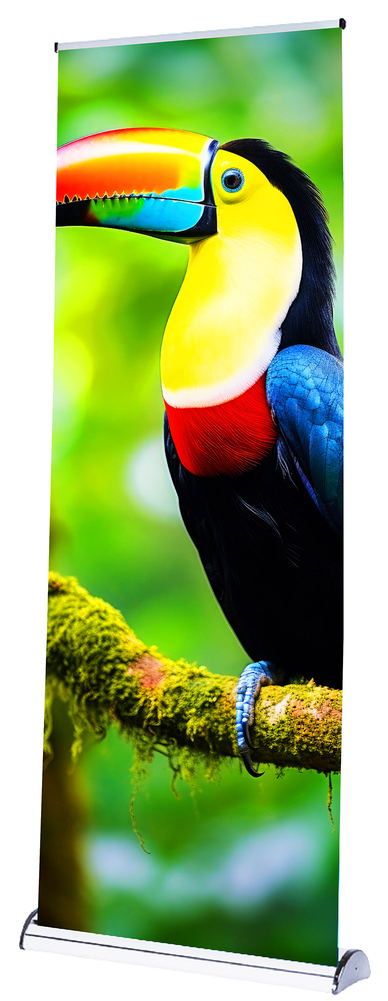 Toucan Roll Up Banner