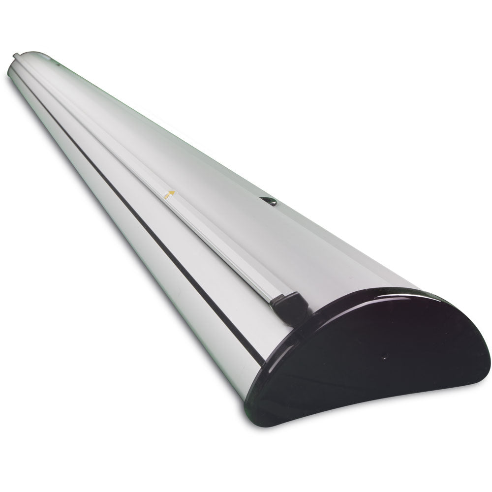 Toucan Roll Up Banner