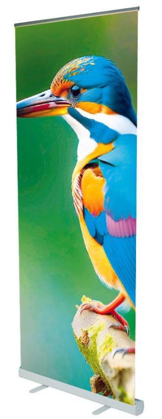 Kingfisher Roll Up Banner